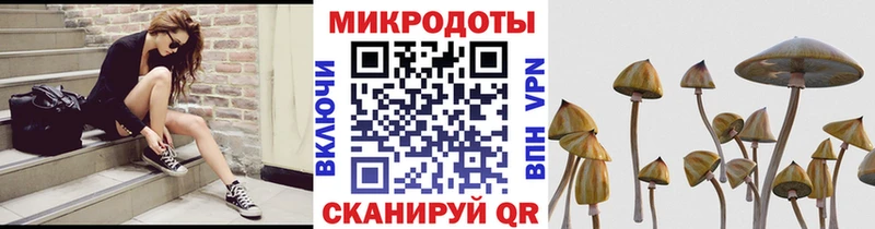 kraken ONION Сорочинск Псилоцибиновые грибы мицелий